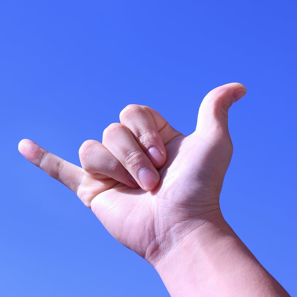 セクションのタイトル