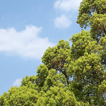 環境安全とコスト削減の両立