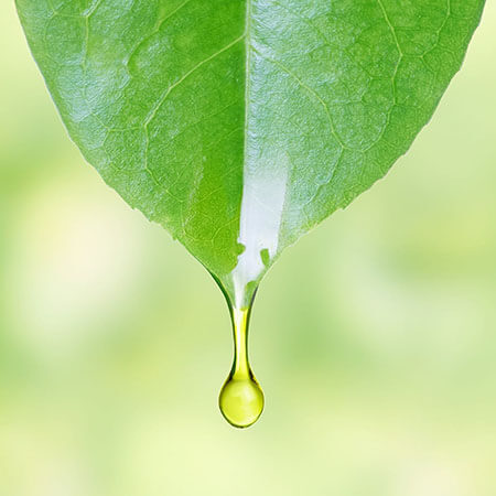 環境対応 ディーゼルエンジンオイル