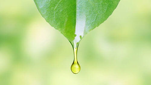 省エネ対応ディーゼル