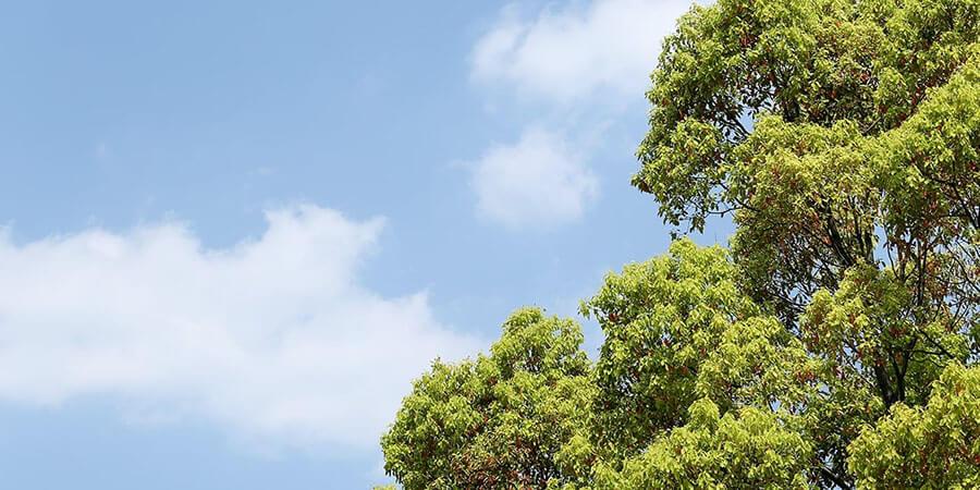 CNGステーション